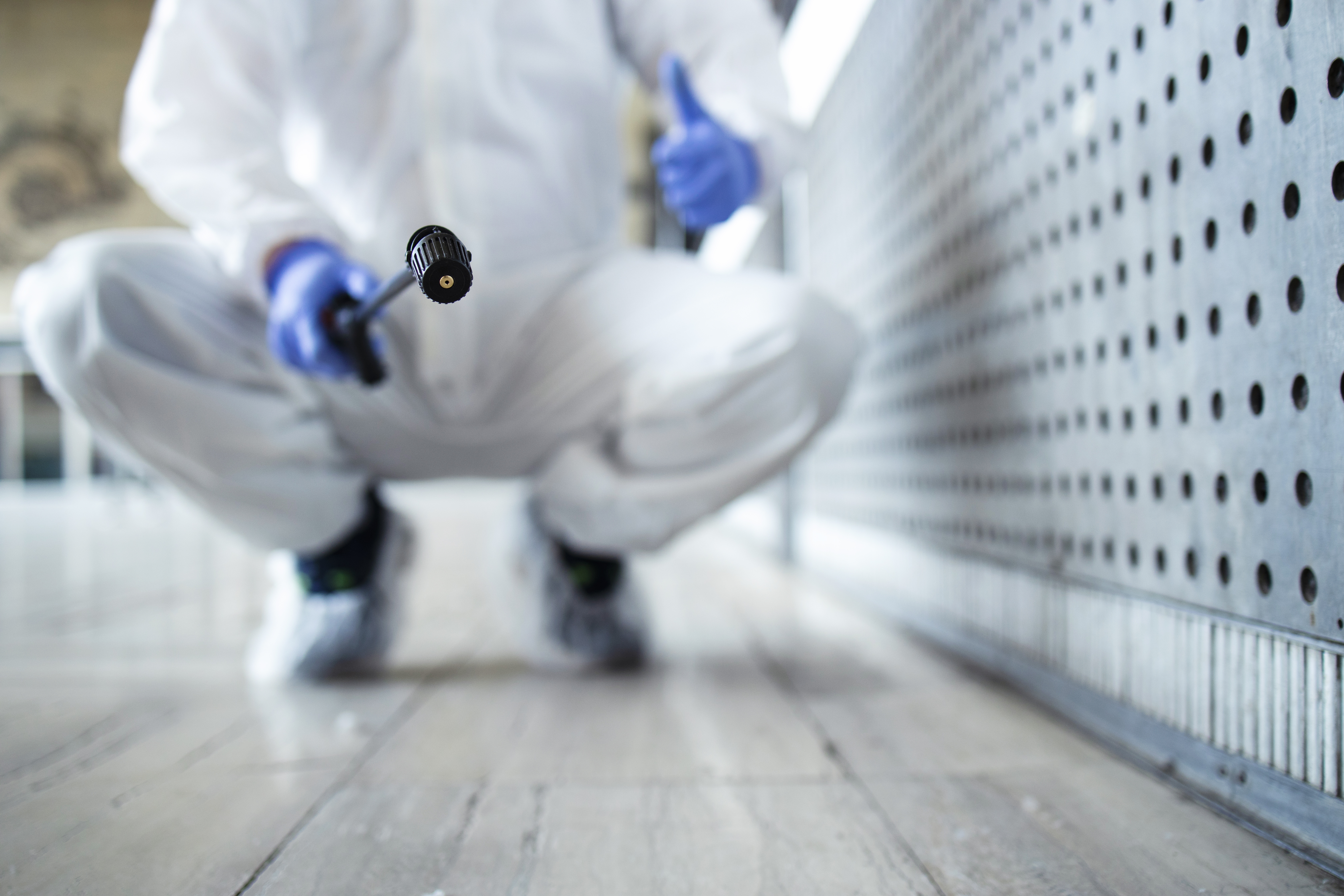 Mold Removal Near Bascom FL